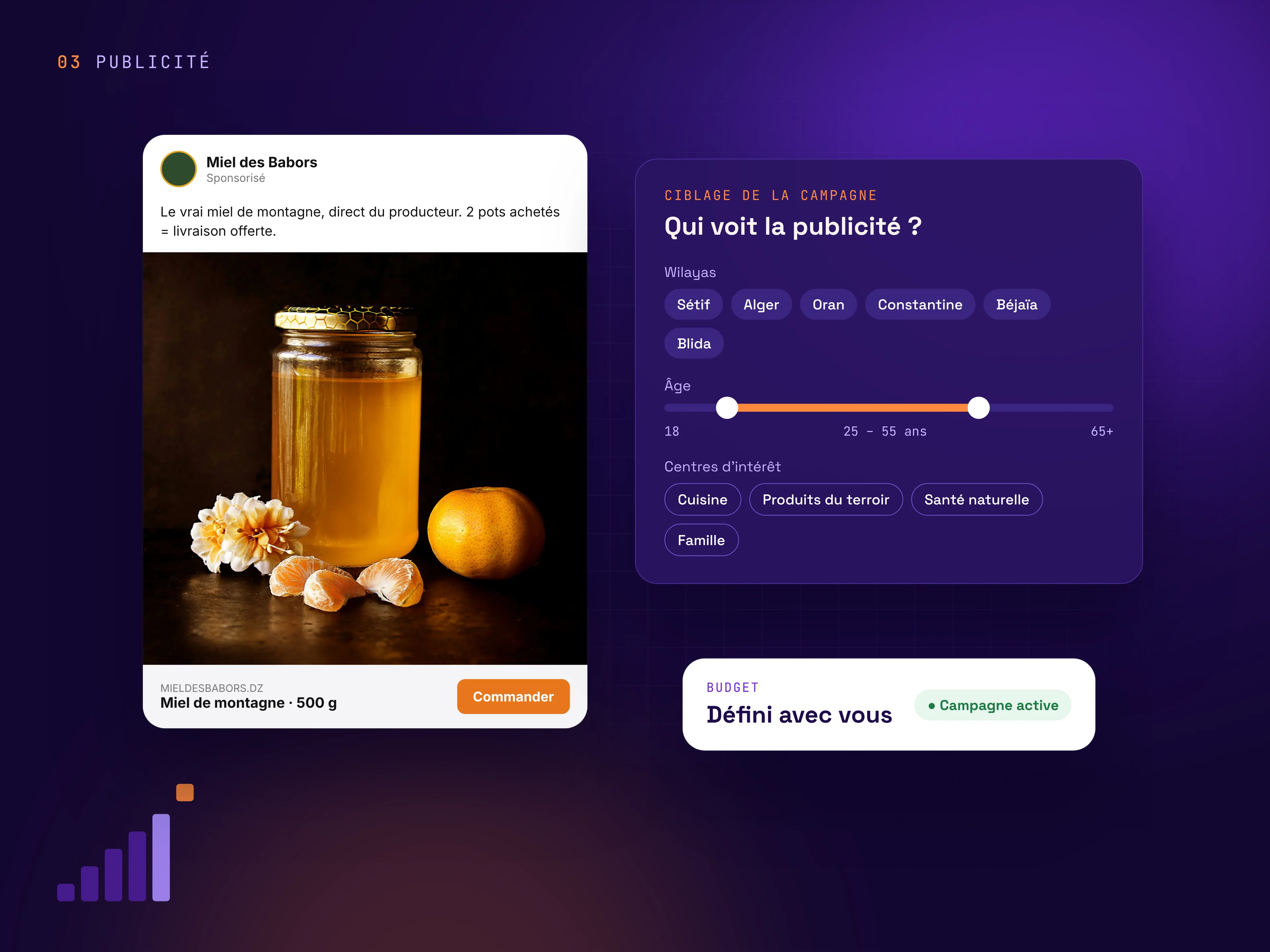 Publicité Instagram sponsorisée avec ciblage par wilaya, âge et centres d’intérêt